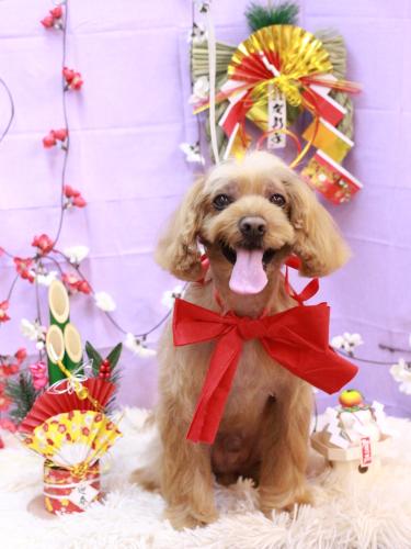 20230106紋之助くん